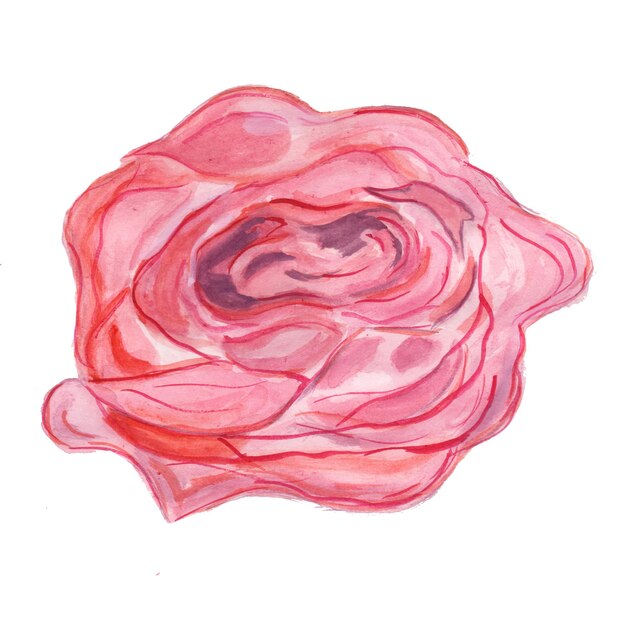 Abstracte Bloem Element Roze Aquarel Achtergrond Illustratie Hoge Resolutie Gratis Foto