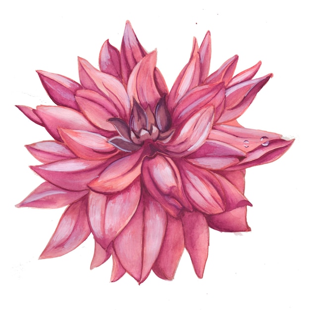 Abstracte Bloem Element Roze Aquarel Achtergrond Illustratie Hoge Resolutie Gratis Foto