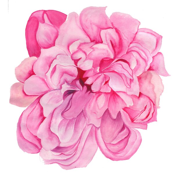 Abstracte Bloem Element Roze Aquarel Achtergrond Illustratie Hoge Resolutie Gratis Foto