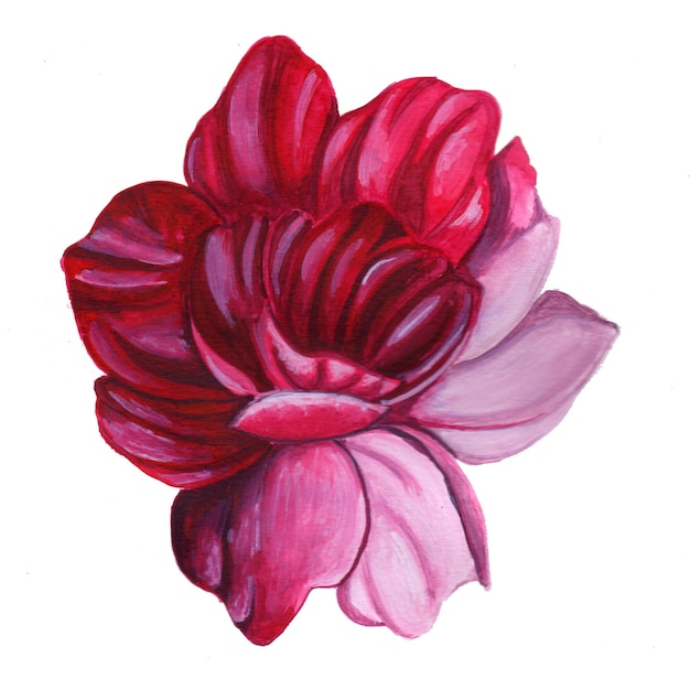 Abstracte Bloem Element Roze Aquarel Achtergrond Illustratie Hoge Resolutie Gratis Foto