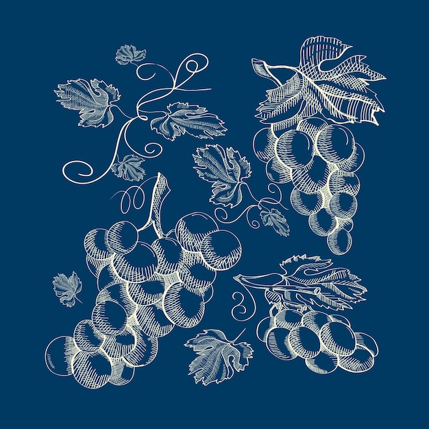 Abstracte botanische vintage blauwe illustratie