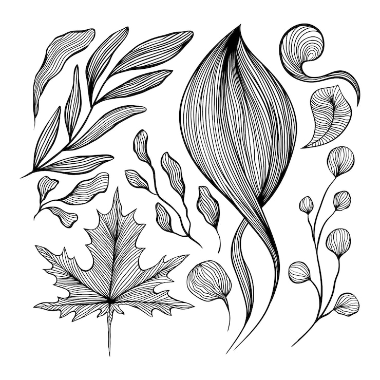 Gratis Vector abstracte golven zwart-witte lijn kunst decoratie set voor behang en kunst aan de muur ontwerp.