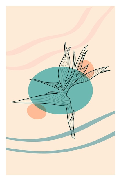 Gratis vector abstracte lijntekeningen van tropische bloem met kleurmarkeringen strelitzia-contourtekening minimale bloemillustratie