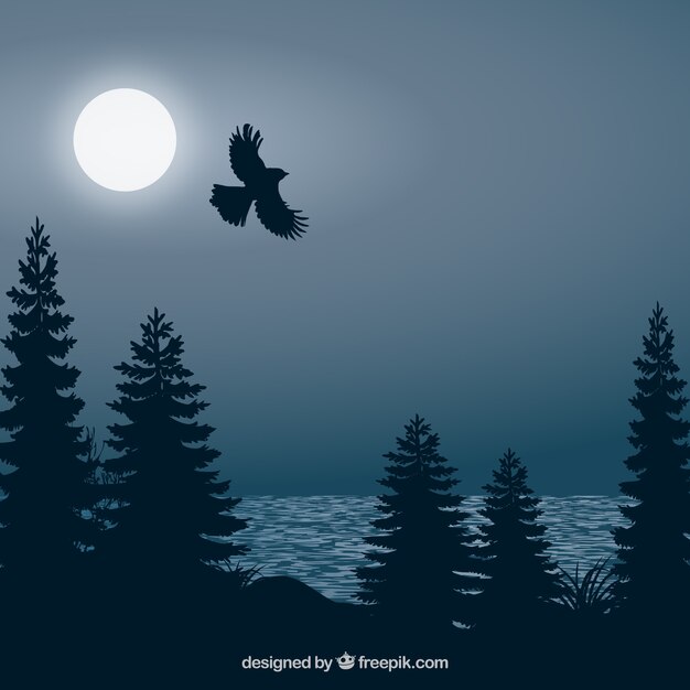Achtergrond met vliegende vogel &#39;s nachts
