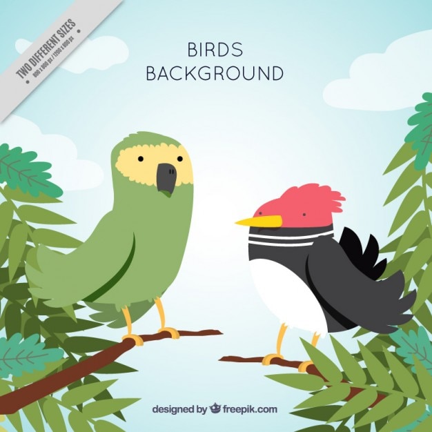 Gratis vector achtergrond van exotische vogels in de jungle