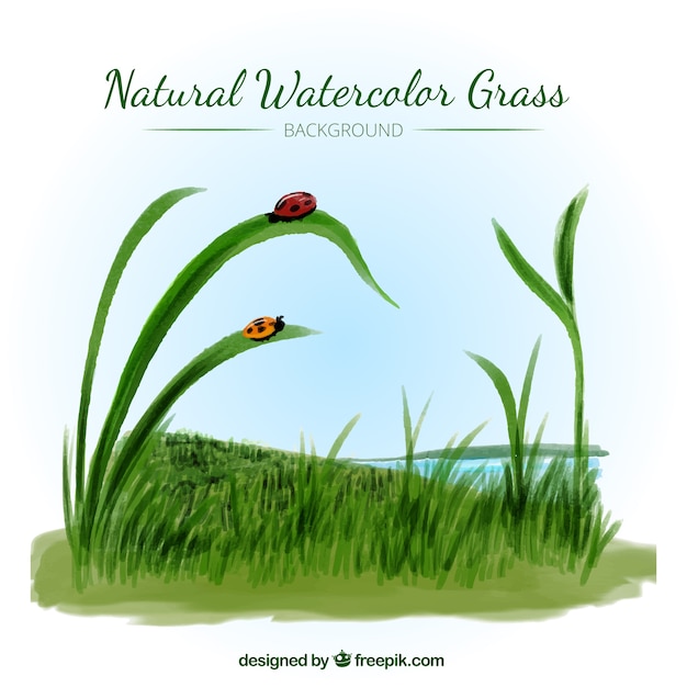 Achtergrond van gras veld met insecten in aquarel stijl