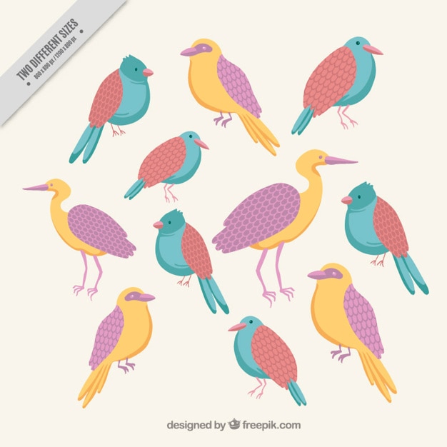 Gratis vector achtergrond van mooie vogels in pastel kleuren