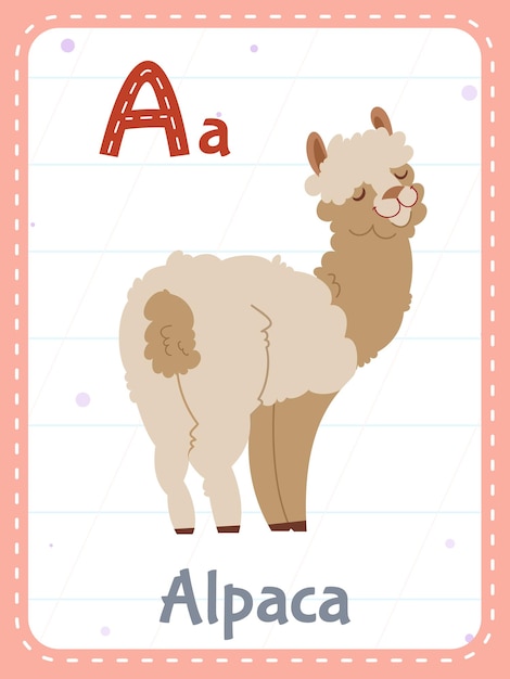 Alfabet afdrukbare flashcard met letter A en alpaca dierenfoto