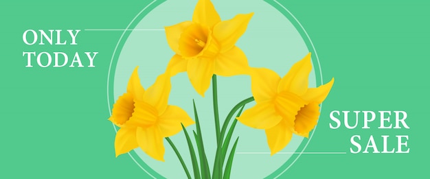 Gratis vector alleen vandaag super verkoop bannerontwerp met drie narcissen in rond kader