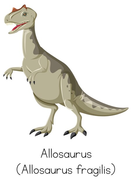 Gratis vector allosaurus fragilis staande op witte achtergrond