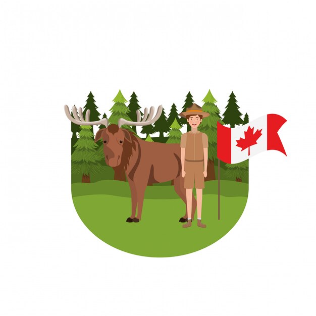 Amerikaanse elanden bosdier van Canada