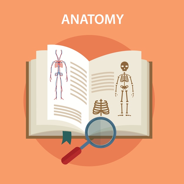 Gratis vector anatomie boek met lupe