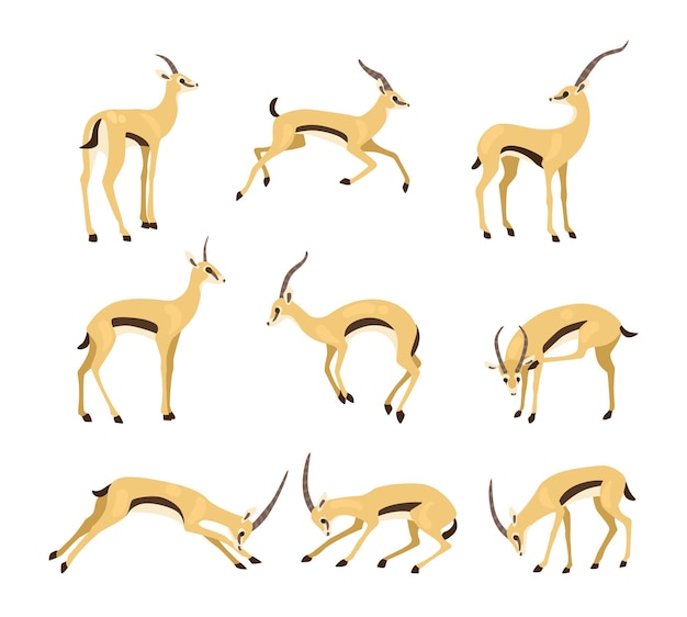 Gratis vector antilope in verschillende poses cartoon afbeelding instellen. afrikaanse struma gazelle of impala met lange hoorns rennen, springen en stoten op een witte achtergrond. dieren, dieren in het wild, safariconcept