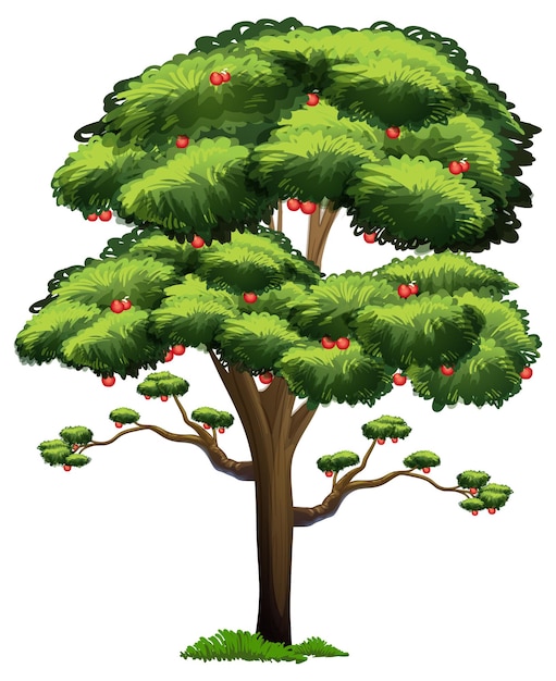 Gratis vector appelboom die op witte achtergrond wordt geïsoleerd