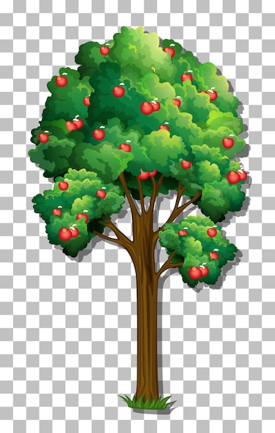 Gratis vector appelboom op transparante achtergrond