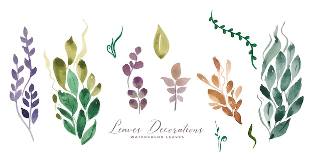 Gratis vector aquarel bladeren decoratie assortiment set