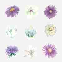 Gratis vector aquarel bloeiende bloemen set