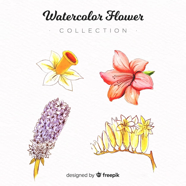 Gratis vector aquarel bloem collectie