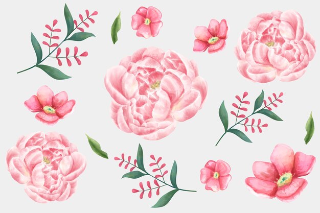 Gratis vector aquarel bloem set