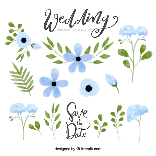 Gratis vector aquarel bloemen bruiloft sieraad collectie