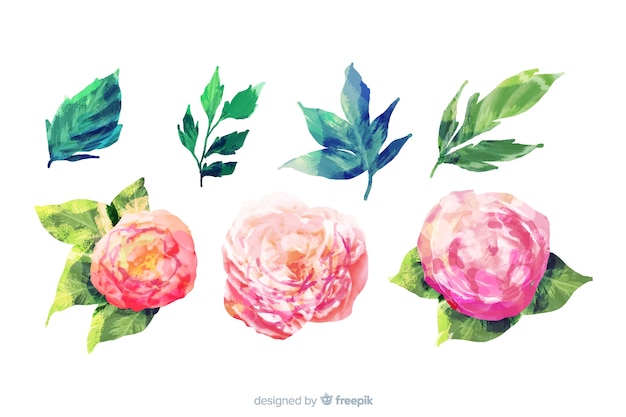 Gratis vector aquarel bloemen en bladeren