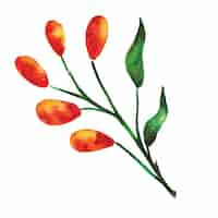 Gratis vector aquarel bloemenelement