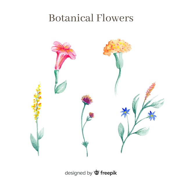 Gratis vector aquarel botanische bloemencollectie