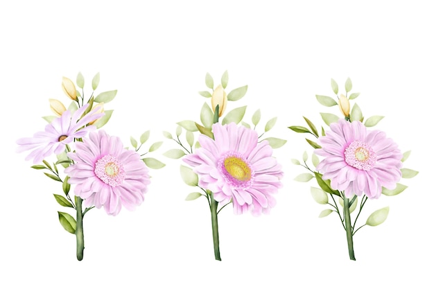 Gratis vector aquarel chrysanten set