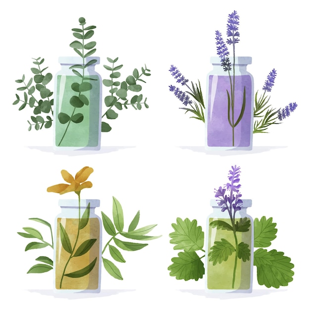 Gratis vector aquarel etherische olie fles pack