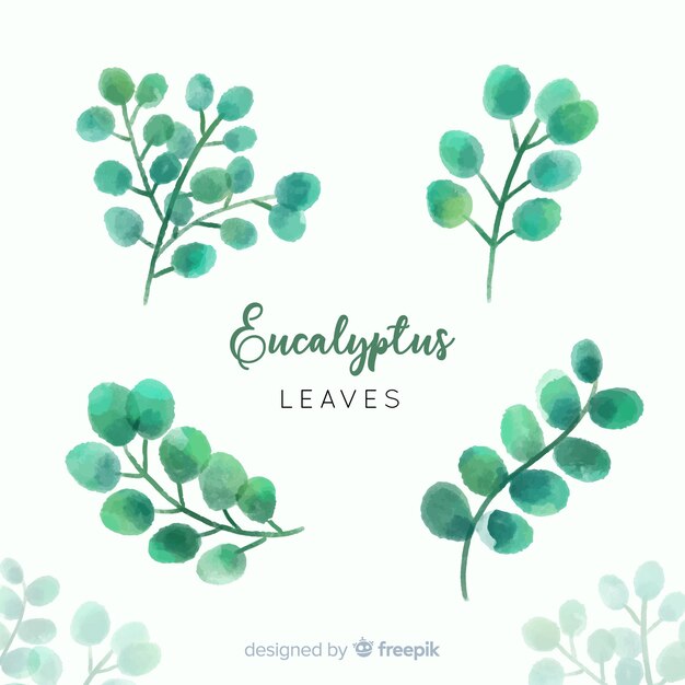 Aquarel eucalyptus bladeren instellen