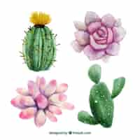 Gratis vector aquarel hand geschilderde bloemen en cactussen