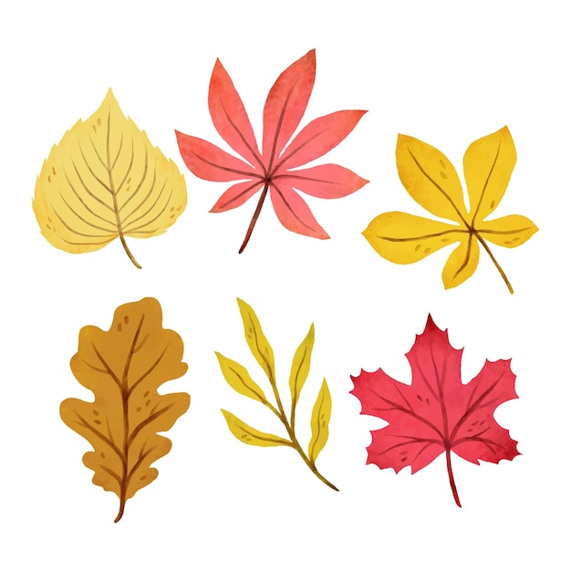 Gratis vector aquarel herfstbladeren collectie