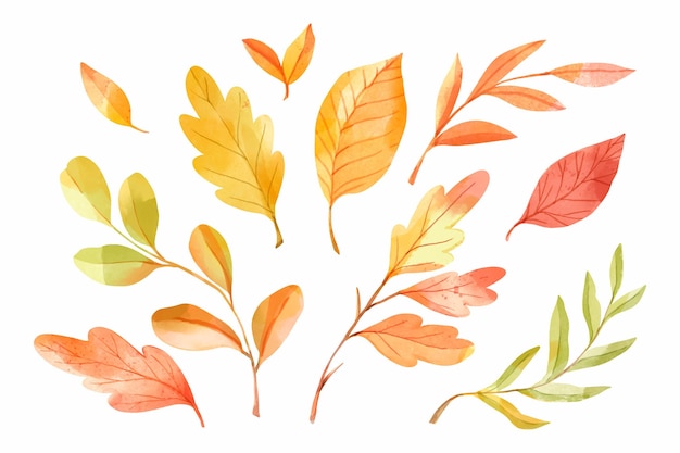 Gratis vector aquarel herfstbladeren collectie