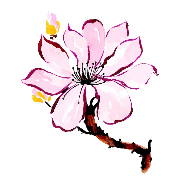 Gratis vector aquarel lente bloemen collectie