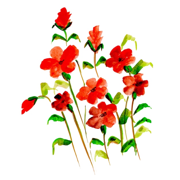 Gratis vector aquarel lente bloemen collectie