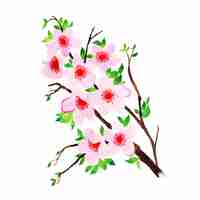 Gratis vector aquarel lente bloemen element