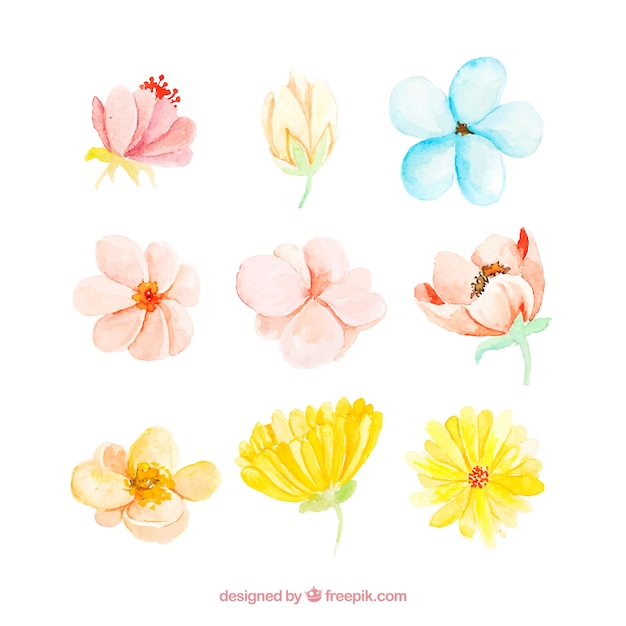 Gratis vector aquarel lente bloemencollectie van negen