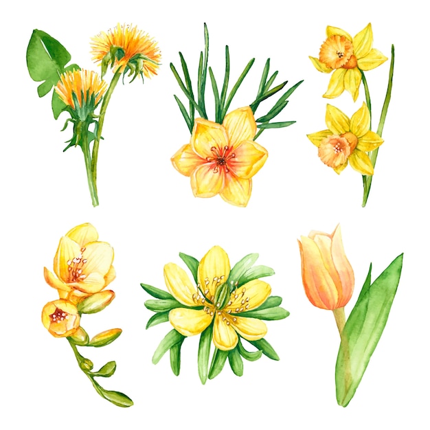 Gratis vector aquarel lente bloemencollectie