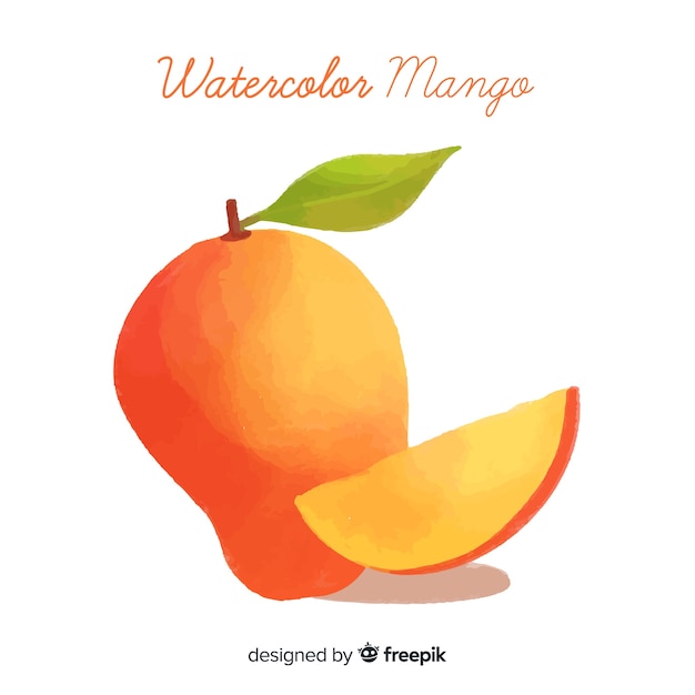 Aquarel mango illustratie