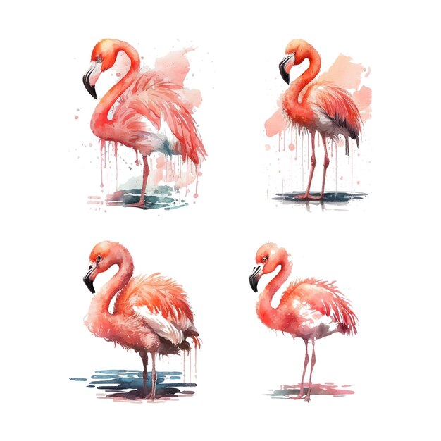 Aquarel schets illustratie van schattige schattige flamingo