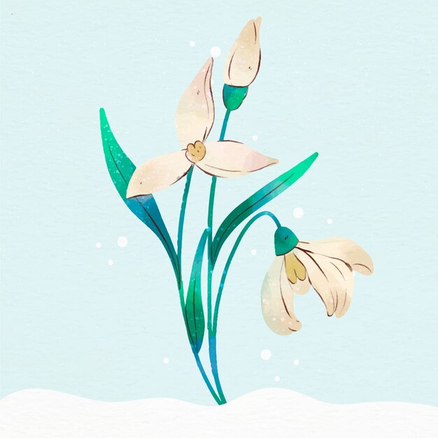 Aquarel sneeuwklokje illustratie
