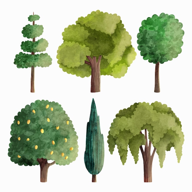 Aquarel soort bomen collectie