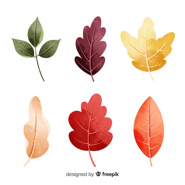 Gratis vector aquarel stijl herfstbladeren collectie