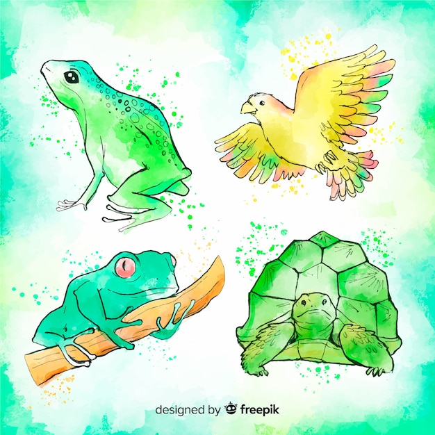 Gratis vector aquarel stijl tropische dieren collectie