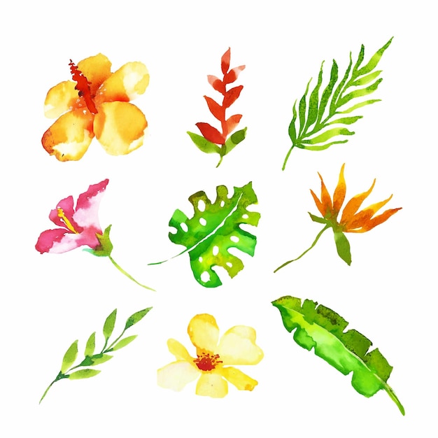 Gratis vector aquarel tropische bloem en blad set