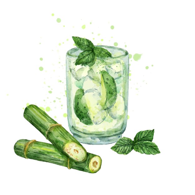 Aquarel verfrissende cachaça-illustratie