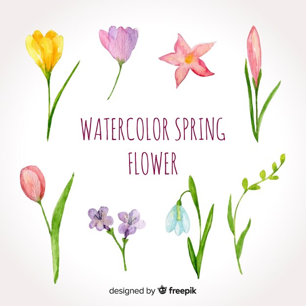 Gratis vector aquarel voorjaar bloem pack