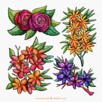 Gratis vector aquarel voorjaarsbloem collectie