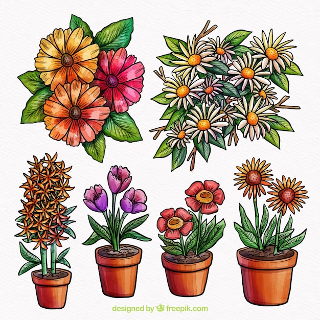 Gratis vector aquarel voorjaarsbloem collectie