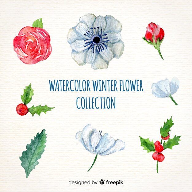 Aquarel winter bloem collectie